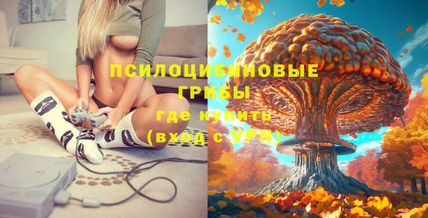 спиды Богородицк