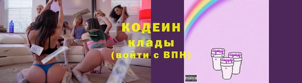 спиды Богородицк