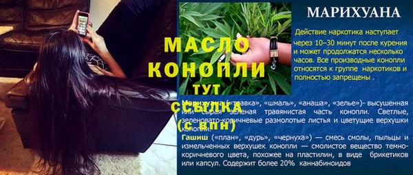 спиды Богородицк