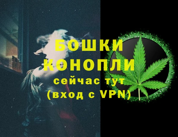 спиды Богородицк