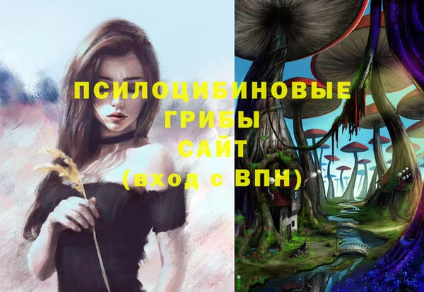 мдма Богородск