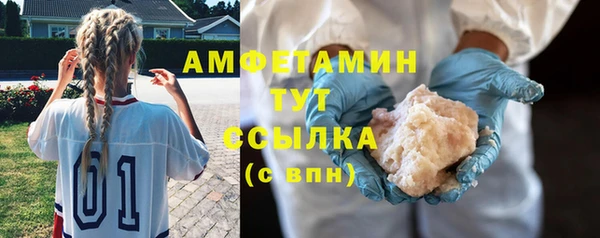 спиды Богородицк