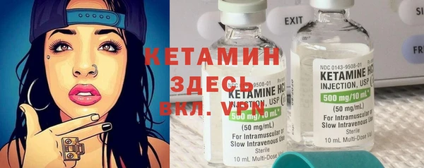 спиды Богородицк